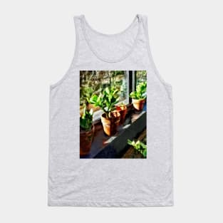 Jade Plants in Greenhouse Tank Top